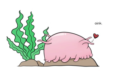 Sea Pig (and 99 other species)