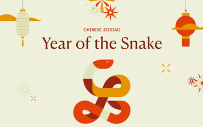 Year of the snake