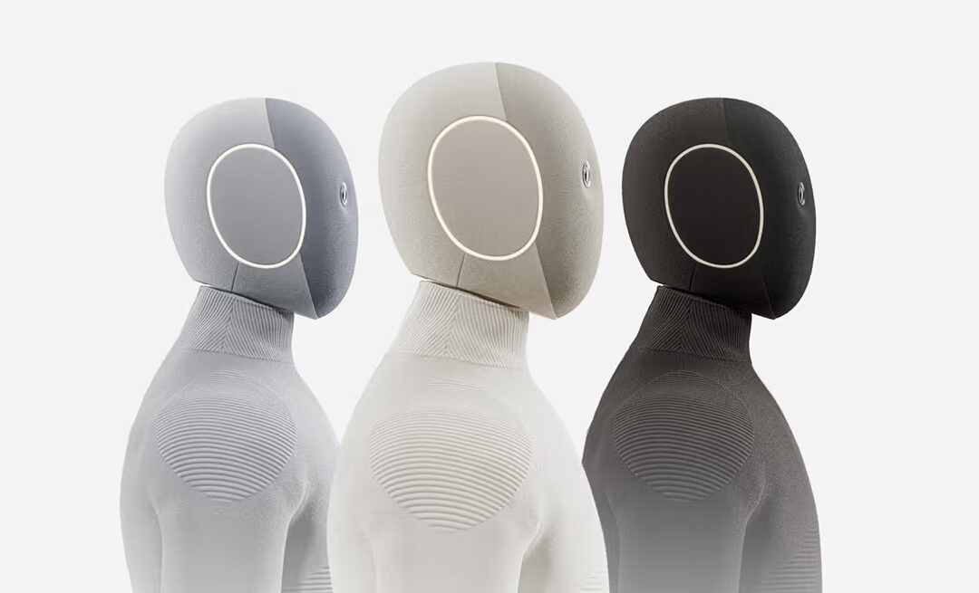 Neo Home Robot