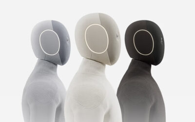 Neo Home Robot
